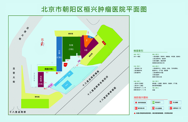 老王舔我逼吃我奶视频北京市朝阳区桓兴肿瘤医院平面图